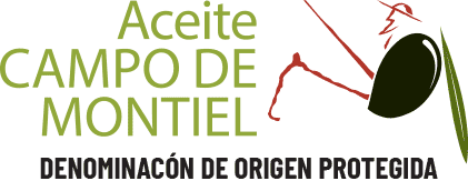 logo campo de Montiel